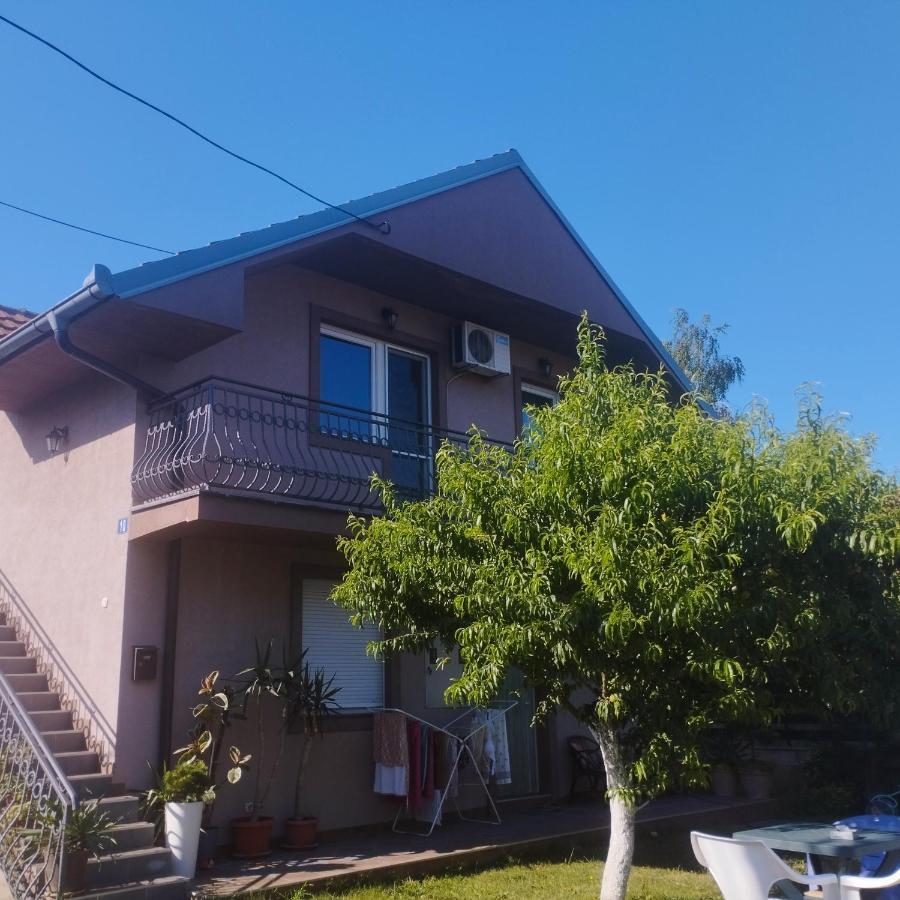 Apartment Andjela Belgrad Exterior foto